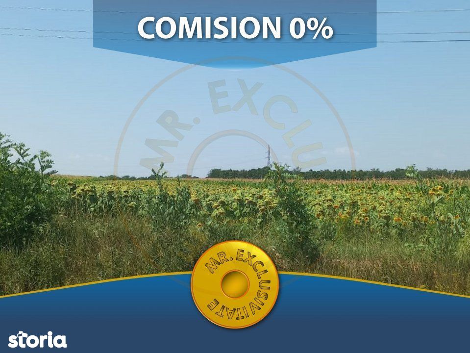 Teren Extravilan 10.000 mp Parvu Rosu - Comision 0%