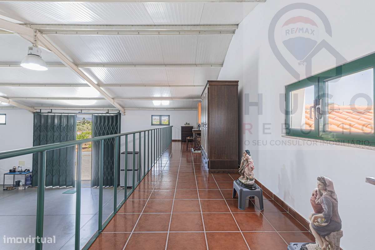 Quinta com 1,425 ha em Redondo-51