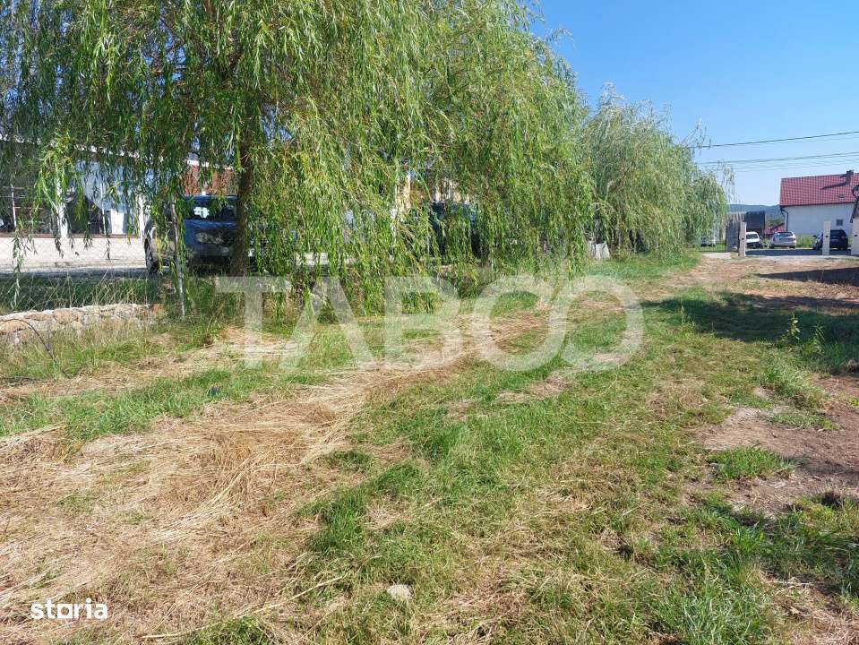 Teren intravilan 812 mp PUZ aprobat utilitati pe teren Talmaciu - Imagine principală: 1/10