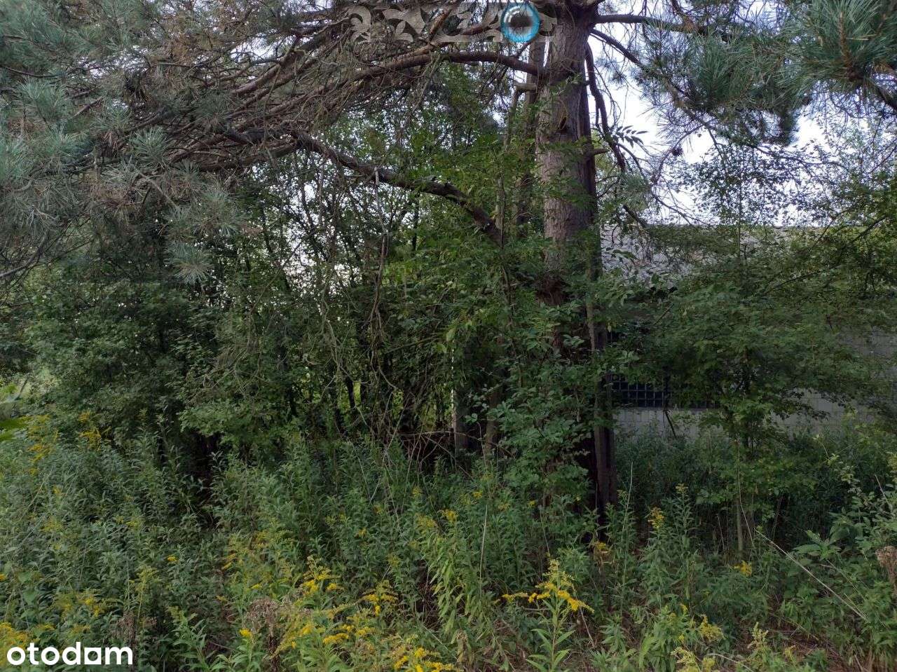 mieszkalno-usługowa przy: węzeł S2, Majaland-19