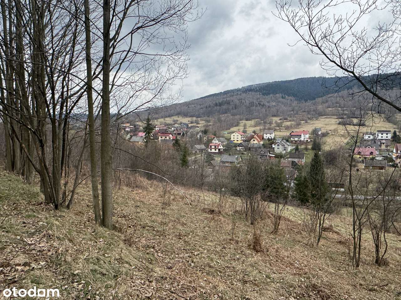 Widokowa działka idealna na rekreację - Pełny obrazek: 3/5