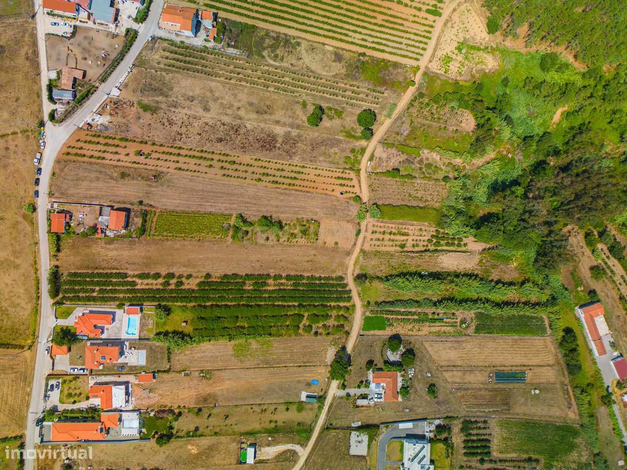 Terreno na Usseira-15