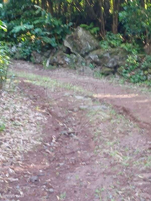 Terreno  para venda - Grande imagem: 4/6