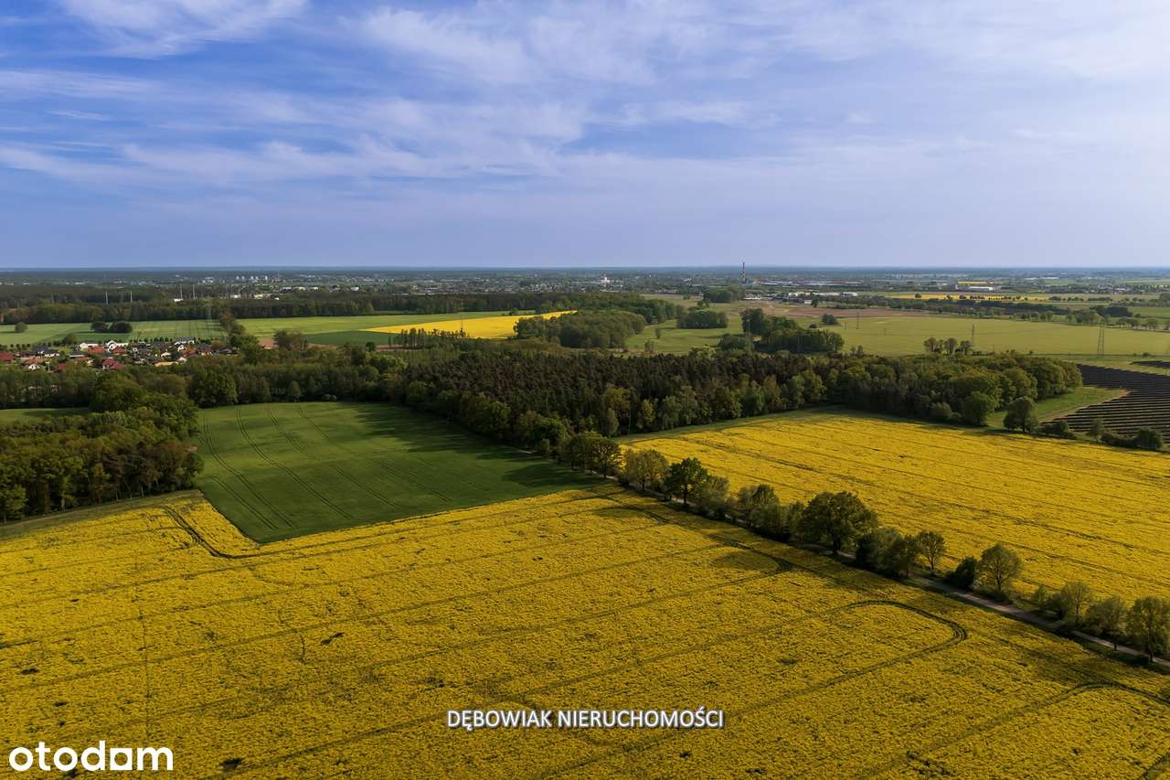 II etap sprzedaży / Atrakcyjne nowe osiedle w Gronówku / blisko Leszna-13