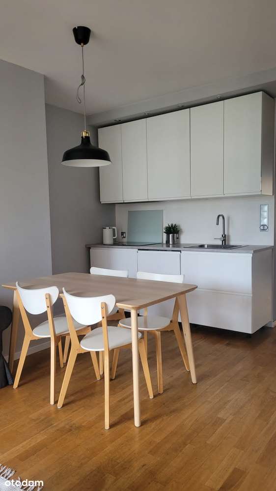 Poznan Centrum Grunwald 3 pokoje apartament przy parku