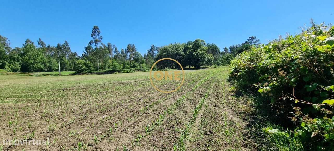 Terreno Rústico em Carreira, Santo Tirso - Grande imagem: 2/8