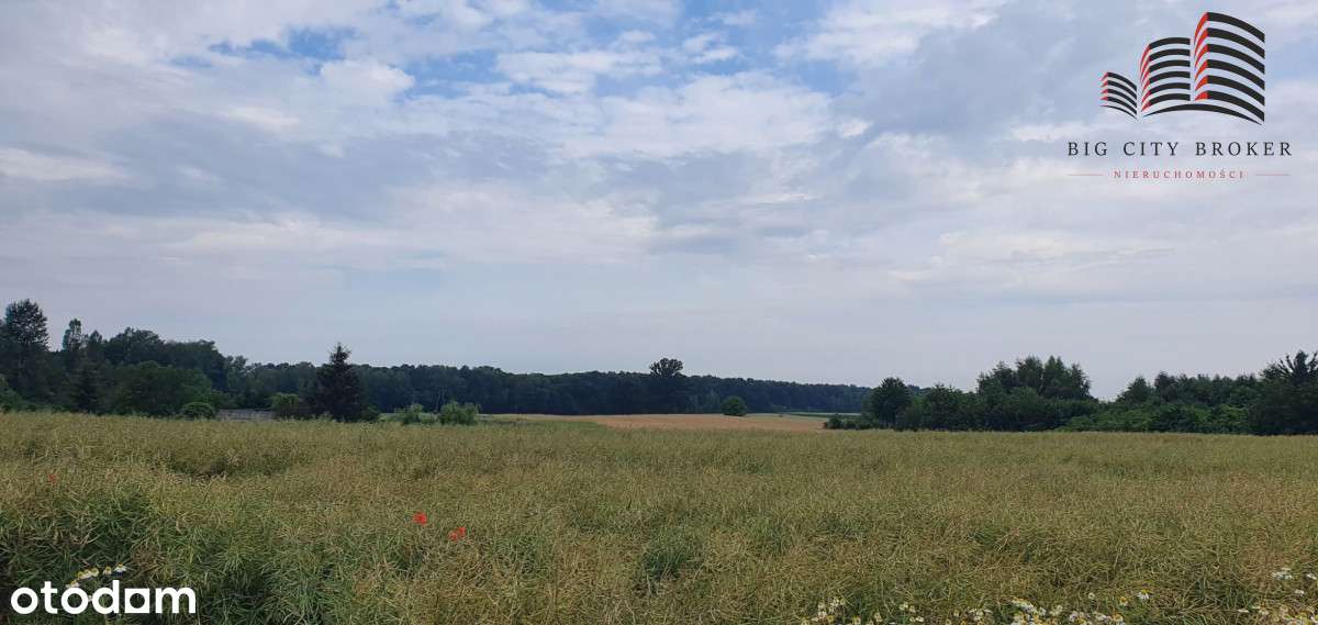 Działka Budowlana W Motyczu - 10 Arów - Pełny obrazek: 4/7