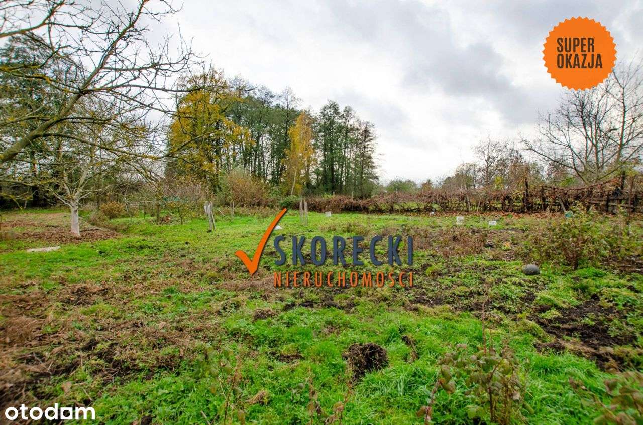 W Mieście a jak w Uroczysku, Działka w Dolinie Strugi Świebodzińskiej - Pełny obrazek: 5/11