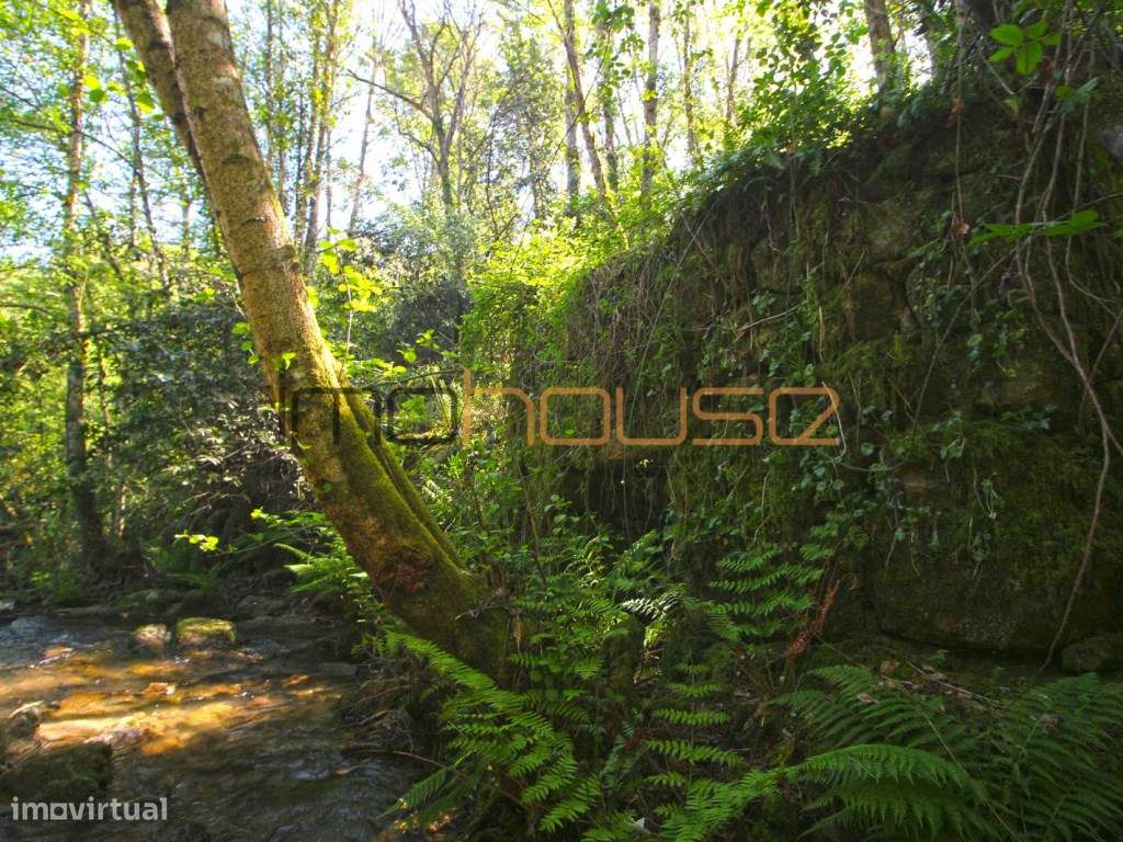 Quinta de 5.6 ha - Varias edificações, ribeiro e vista Douro-3