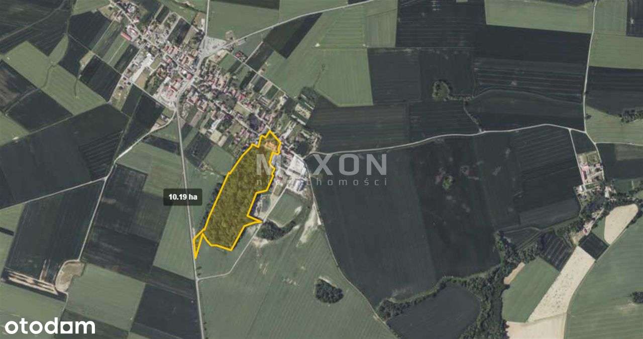 ✨ Dolnośląskie Małuszów Pałac ✨ - Pełny obrazek: 5/20