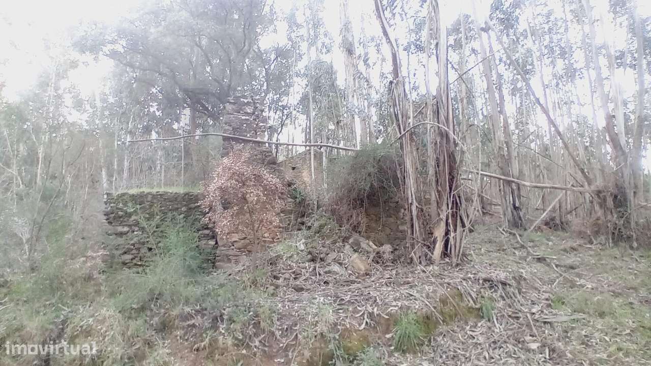 Ruína para Recuperar com Terrenos – Casal Agostinho Alves, Alvaiázere - Grande imagem: 4/6