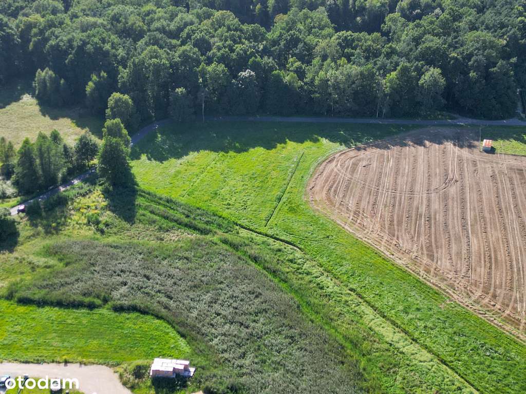 Pasieki, las, media i asfalt - idealne !-3