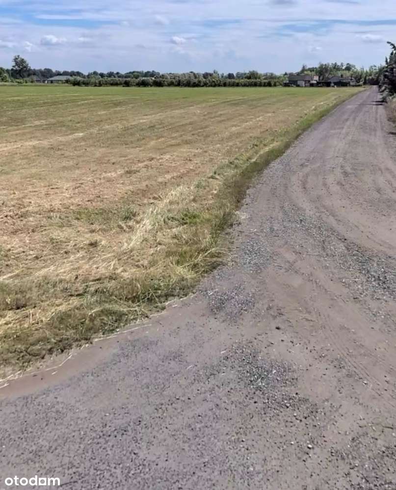 Działka inwestycyjna Podkampinos PnB Glamping, dom opieki, bliźniaki