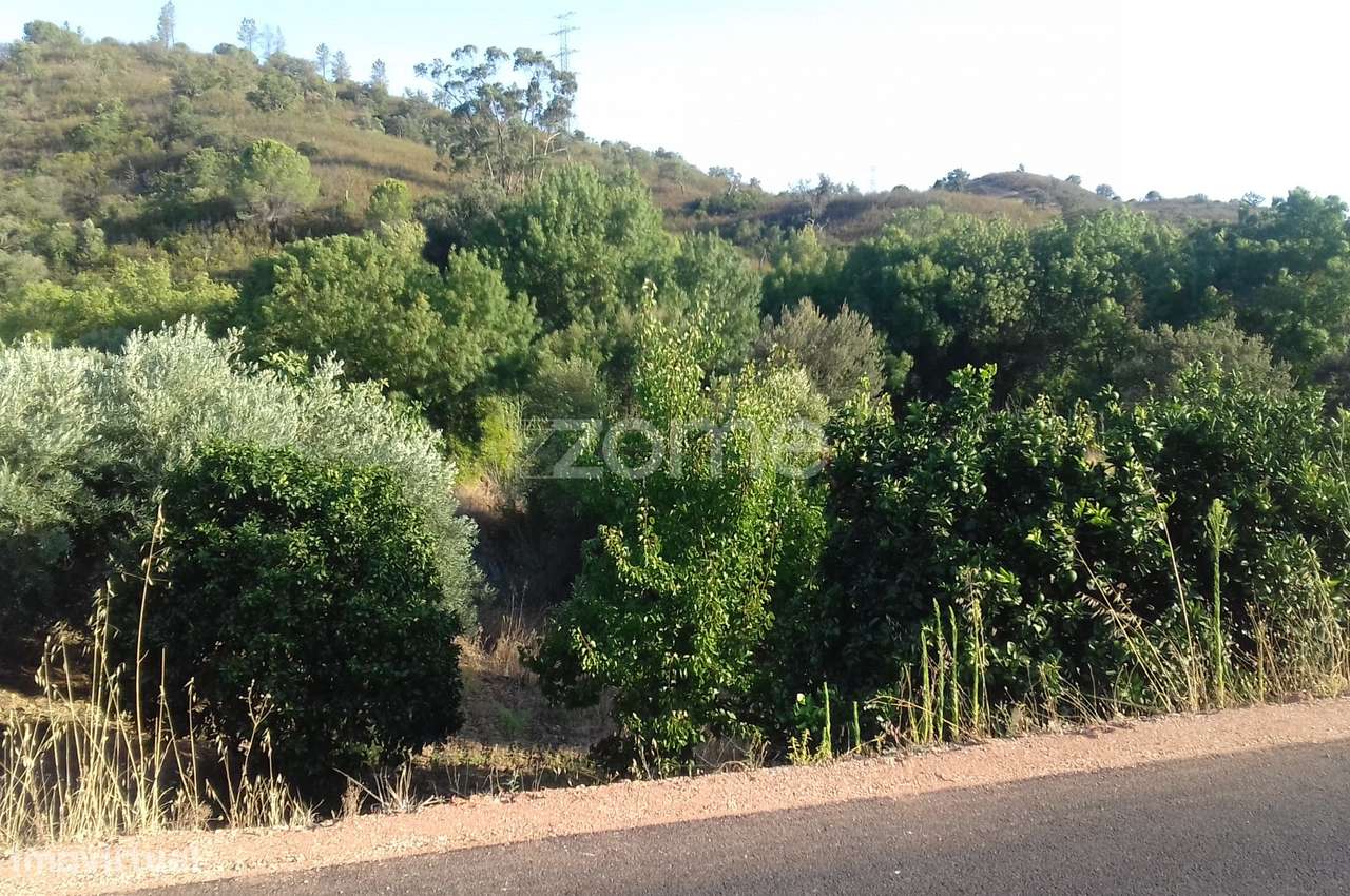 Terreno Rústico Ribeira do Arade, S. Bartolomeu de Messines - Grande imagem: 2/15