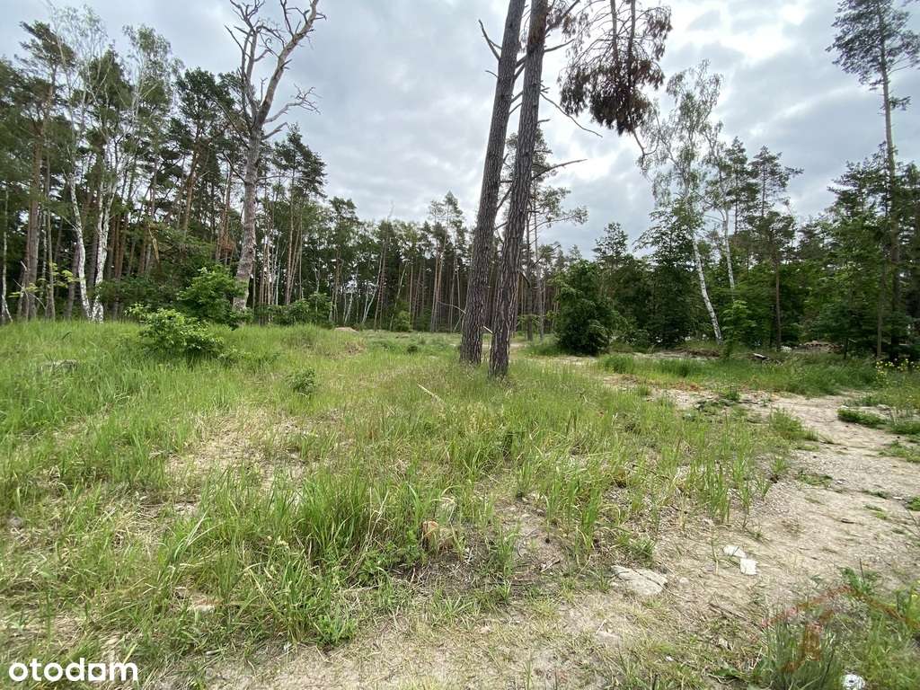 Dziwnówek, 2 działki blisko morza 2788 m2 - Pełny obrazek: 5/17