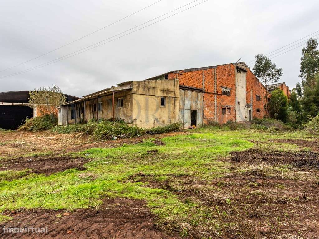 Terreno para Construção de 32.500 m² com Viabilidade Turística e In...-18