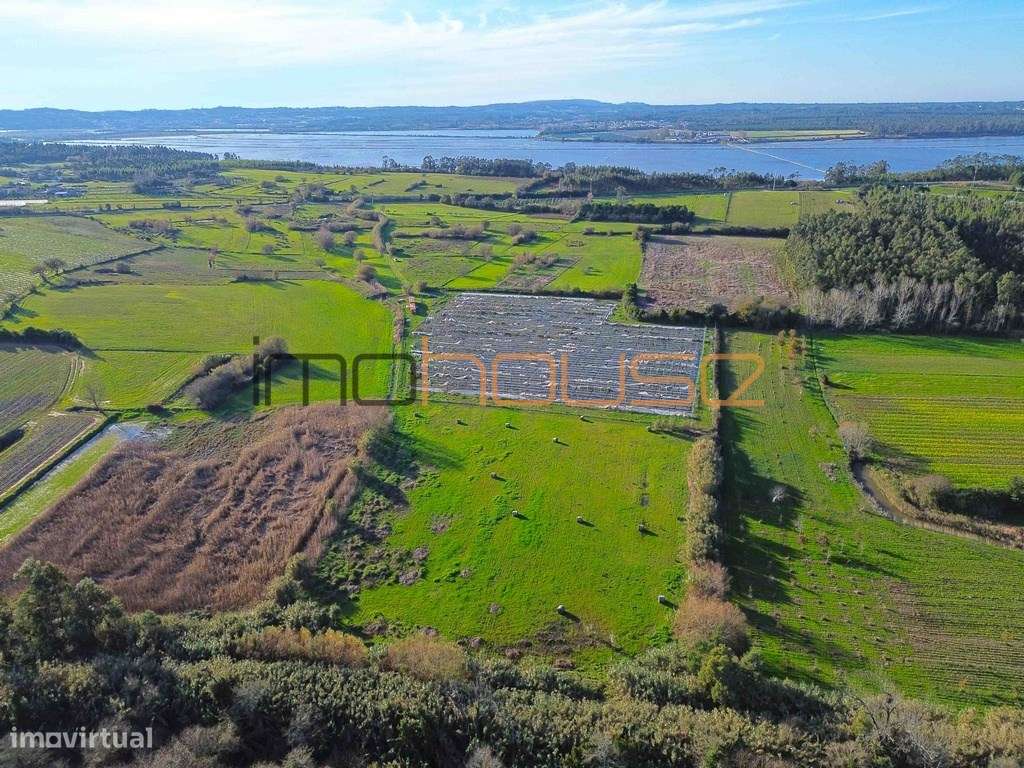 Quinta de 3,24ha - A 5min. Montemor-o-Velho - Grande imagem: 2/11