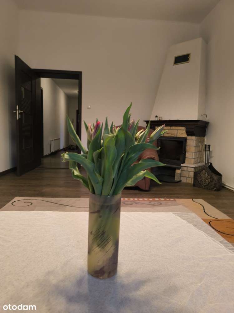 *NOWA CENA* Duże mieszkanie 117 m2, ul. Jagiellońska-7