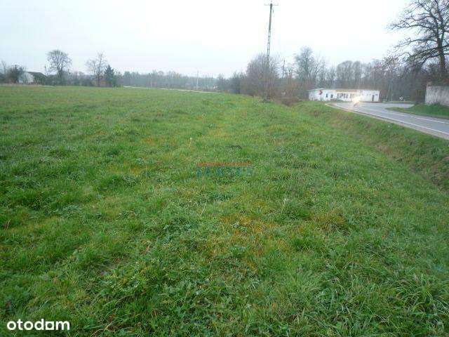 Działka, 10000.0 m², Prażmów - Pełny obrazek: 4/6