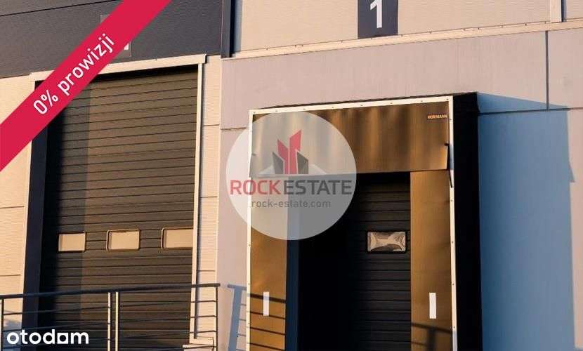 Magazyn na wynajem 2,4 tyś m2 od zaraz - 0% prow. - Pełny obrazek: 4/9