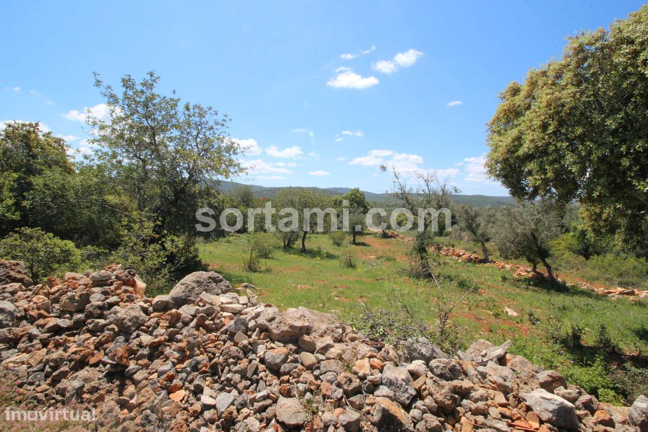 Terreno Para Construção  Venda em Querença, Tôr e Benafim,Loulé - Grande imagem: 5/5
