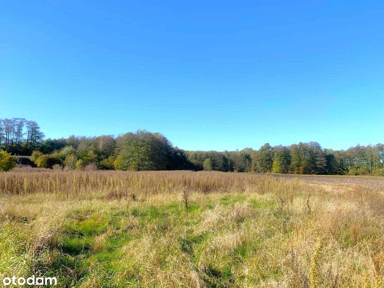 Malownicza działka pod budowę Twojego wymarzonego - Pełny obrazek: 5/6