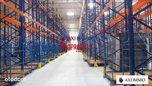 Magazyn pod produkcję 10.000 m2 Łódź Górna - Pełny obrazek: 4/6