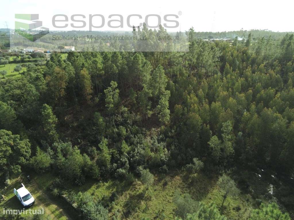 Terreno Rustico - Grande imagem: 2/14