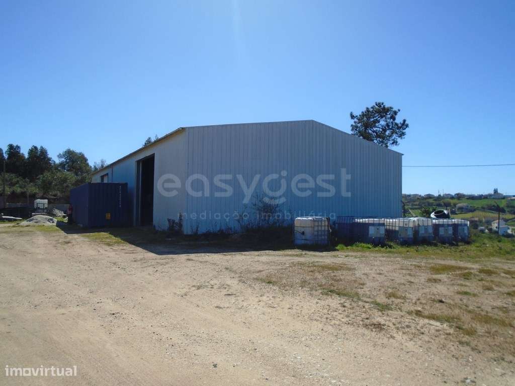 Armazém inserido num Terreno Urbano com 7500m2. - Grande imagem: 5/12