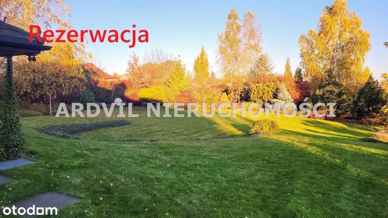 Uzbrojona Grabówka ładna-0