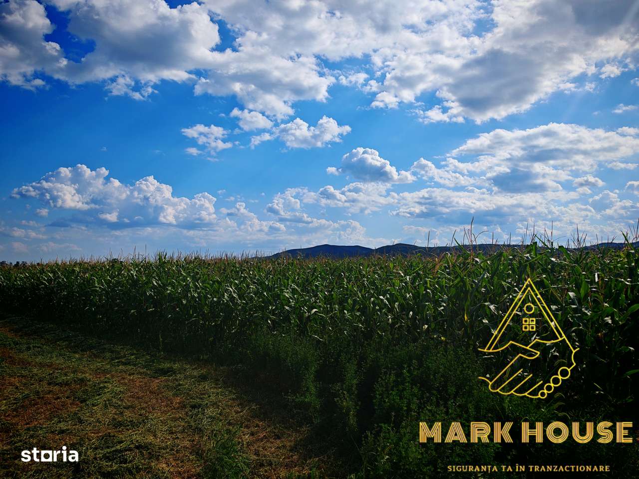 Teren extravilan de vânzare, 6.400 mp, Măgura - Imagine principală: 4/4