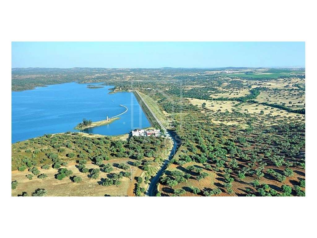 Terreno com 1.2 hectares em Vila Ruiva-13