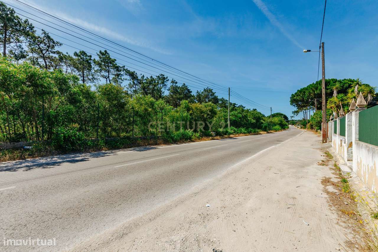 Terreno Urbano na Charneca de Caparica | Pinhal da Aroeira-8
