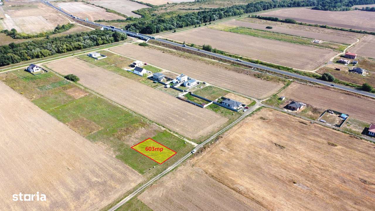 603mp Teren Ghiroda-Cartier Bistra-toate utilitatile - Imagine principală: 5/7