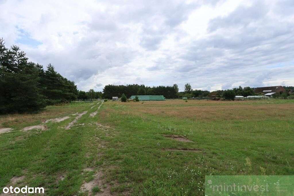 Urokliwie położona działka w Wierzchosławiu - Pełny obrazek: 4/7