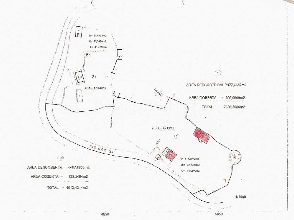 Quinta Rural 8.000 m2 - 2 Casas Habitáveis - confina com Ribeira-29