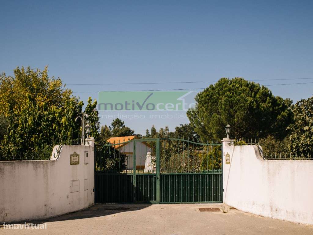 Moradia Térrea T4 em Quinta de 11.250 m² com Árvores de Fruto. Em S...-49