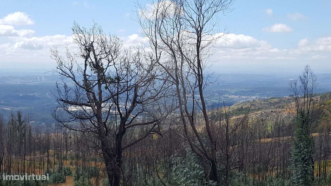 Terreno  para venda - Grande imagem: 5/11