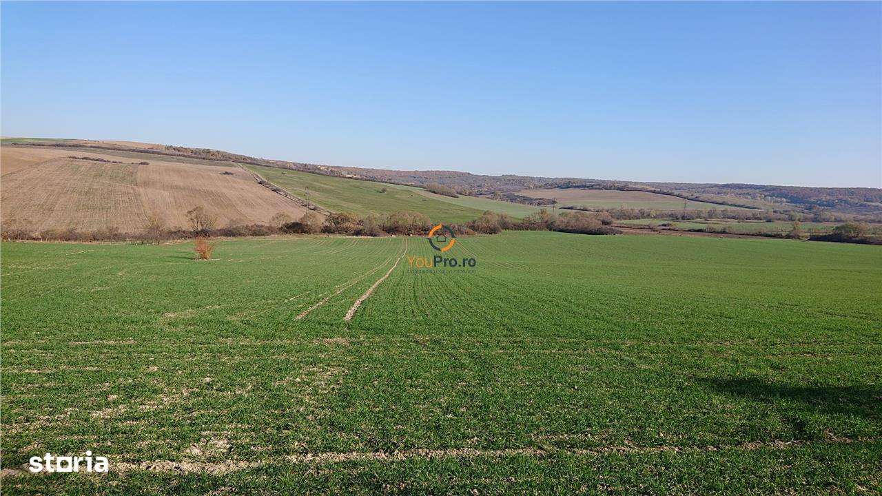 Vand teren in Santelec - Imagine principală: 3/6