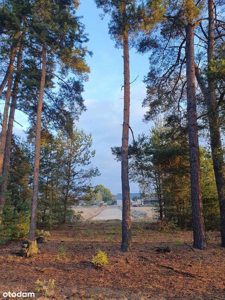 Działki budowlane koło lasu cicha miejscowość - Pełny obrazek: 5/13
