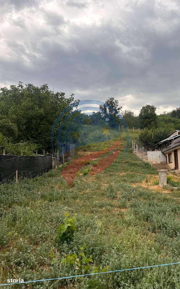 Teren de vanzare in  Breasta - Imagine principală: 2/3