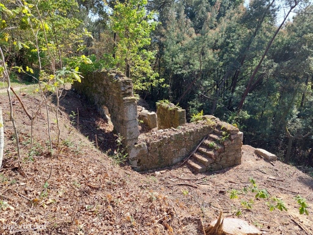 Terreno c/ Ruína em Pedra - Vilela