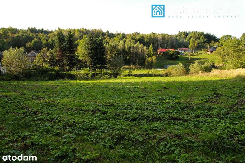 Nieruchomość w zielonym otoczeniu - Drohobyczka - Pełny obrazek: 5/7