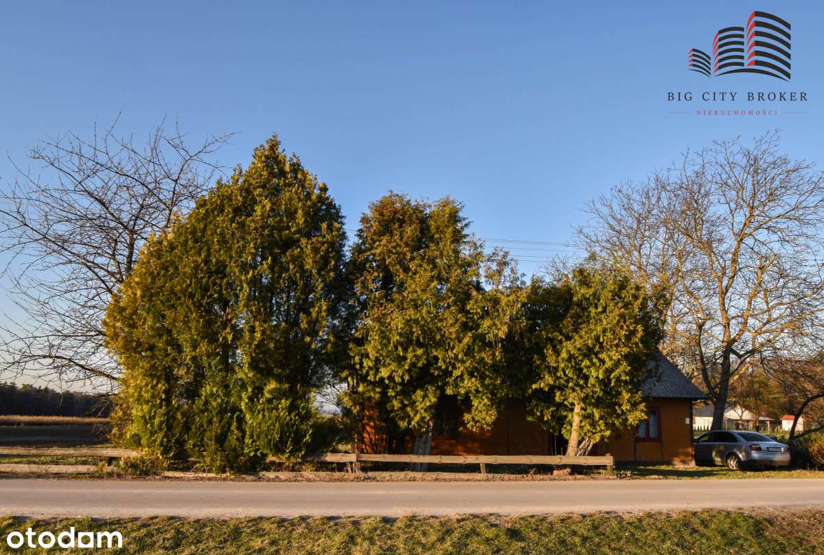 Drewniany dom do remontu - Pełny obrazek: 5/9