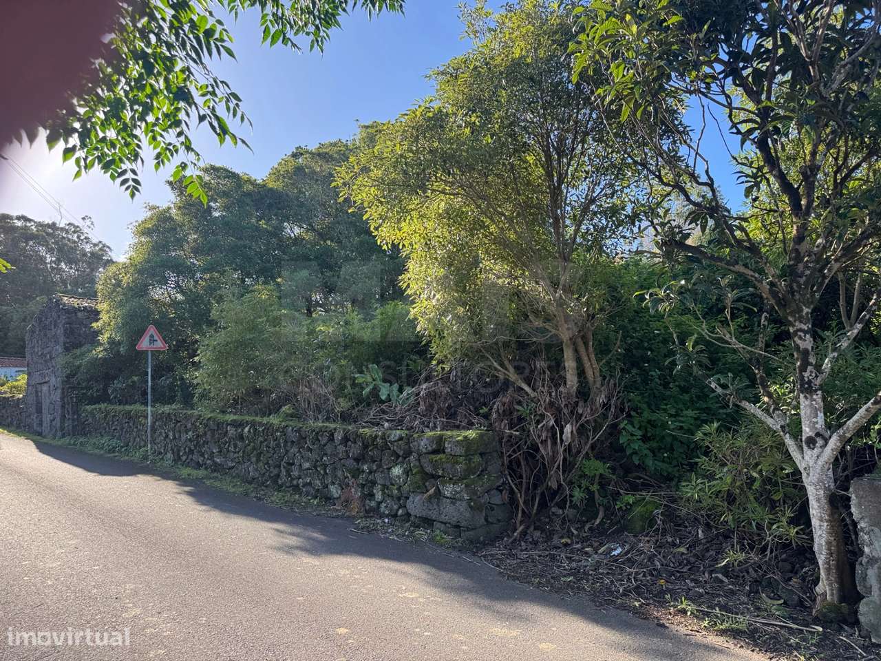 Terreno Urbano com Ruína - Grande imagem: 5/9