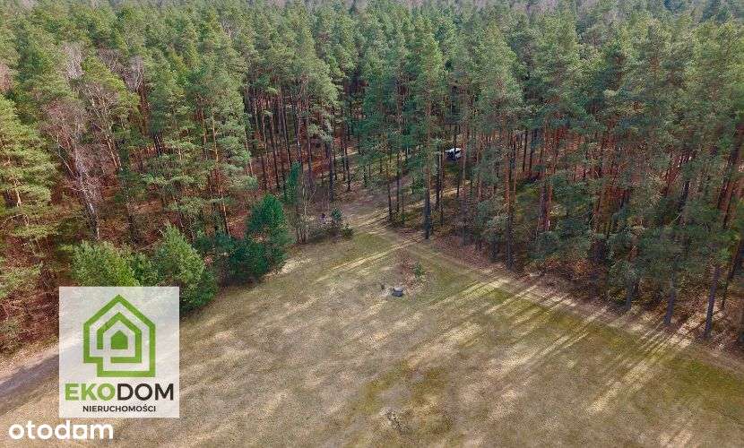 Dwie malownicze  działki pod lasem 1017 i 1957 m2 / Panoszów-13