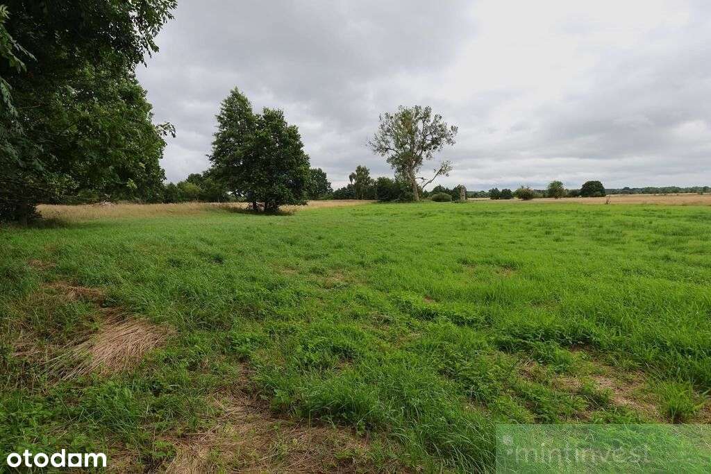 1,95 Ha W Żarnowie – Twoje Miejsce Blisko Natury-4