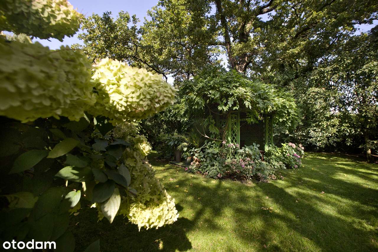 Rezydencja w Wawrze na pięknej działce-11