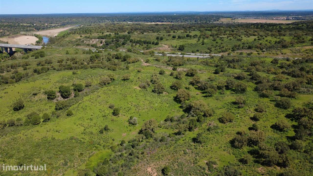 Herdade  Venda em Figueira dos Cavaleiros,Ferreira do Alentejo-9