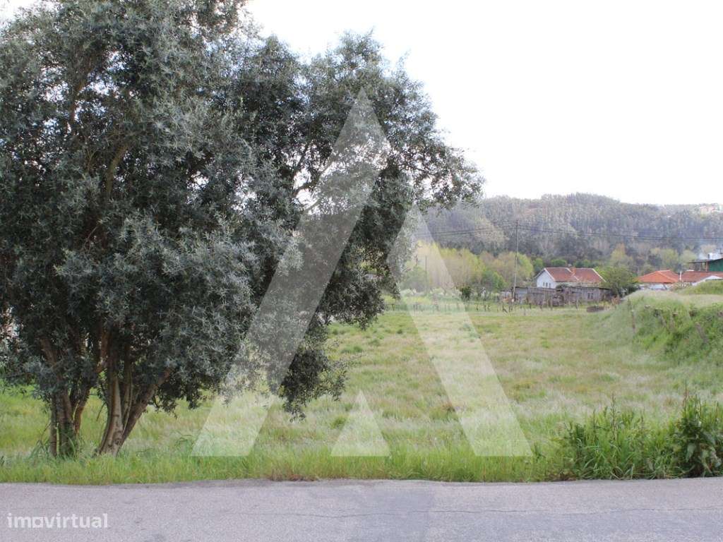 Terreno para construção em Valmaior - Albergaria-a-Velha - Grande imagem: 5/5